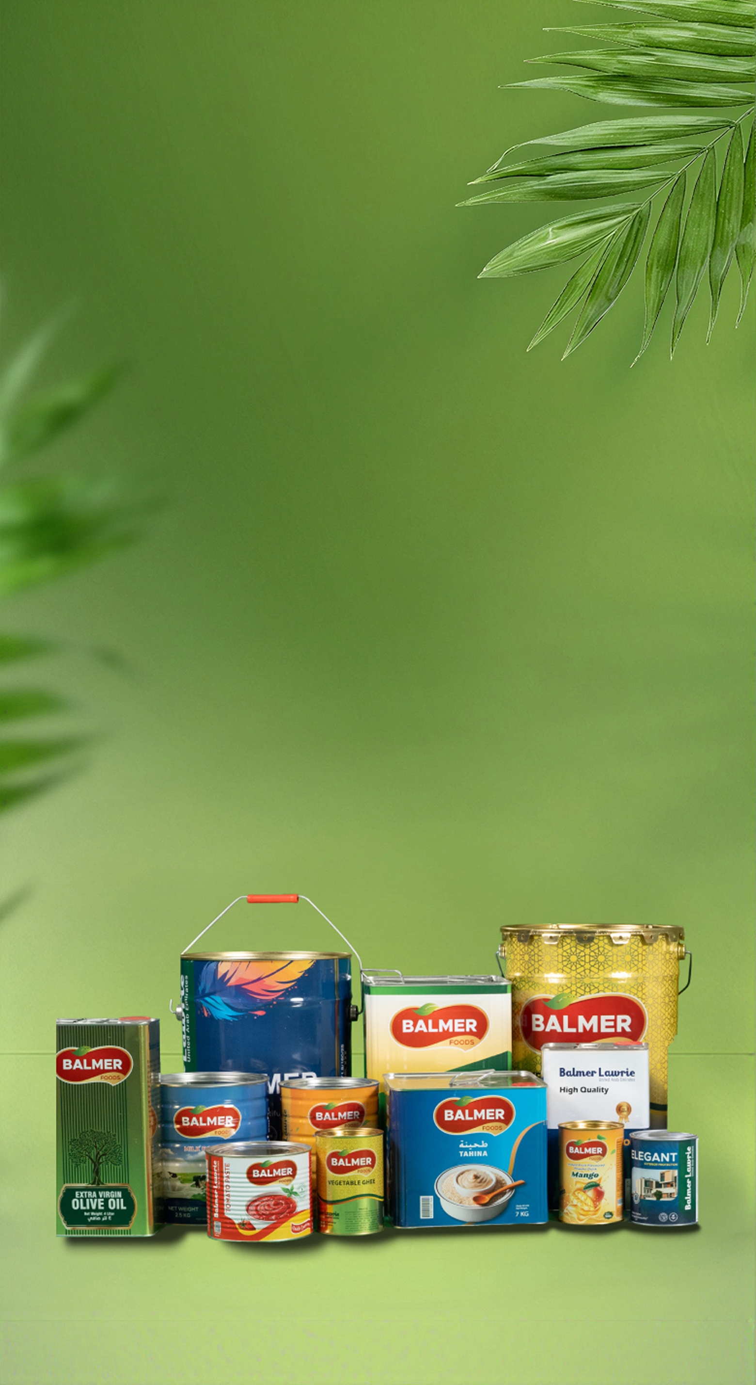 Tinplate Packaging